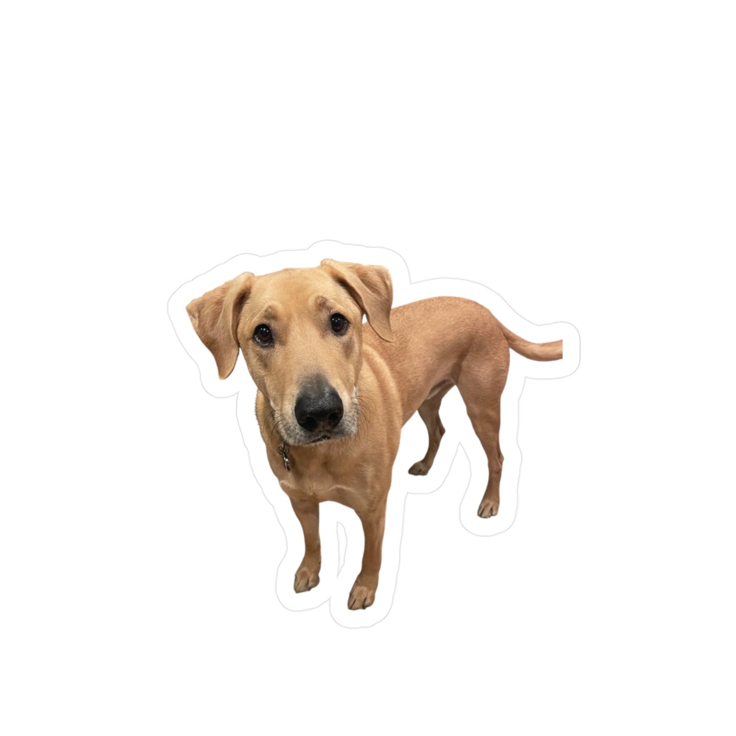 Puppers