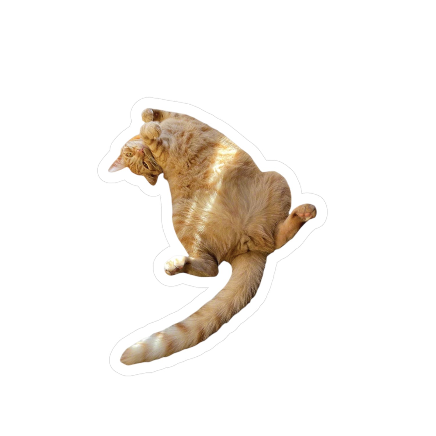 Kittehs