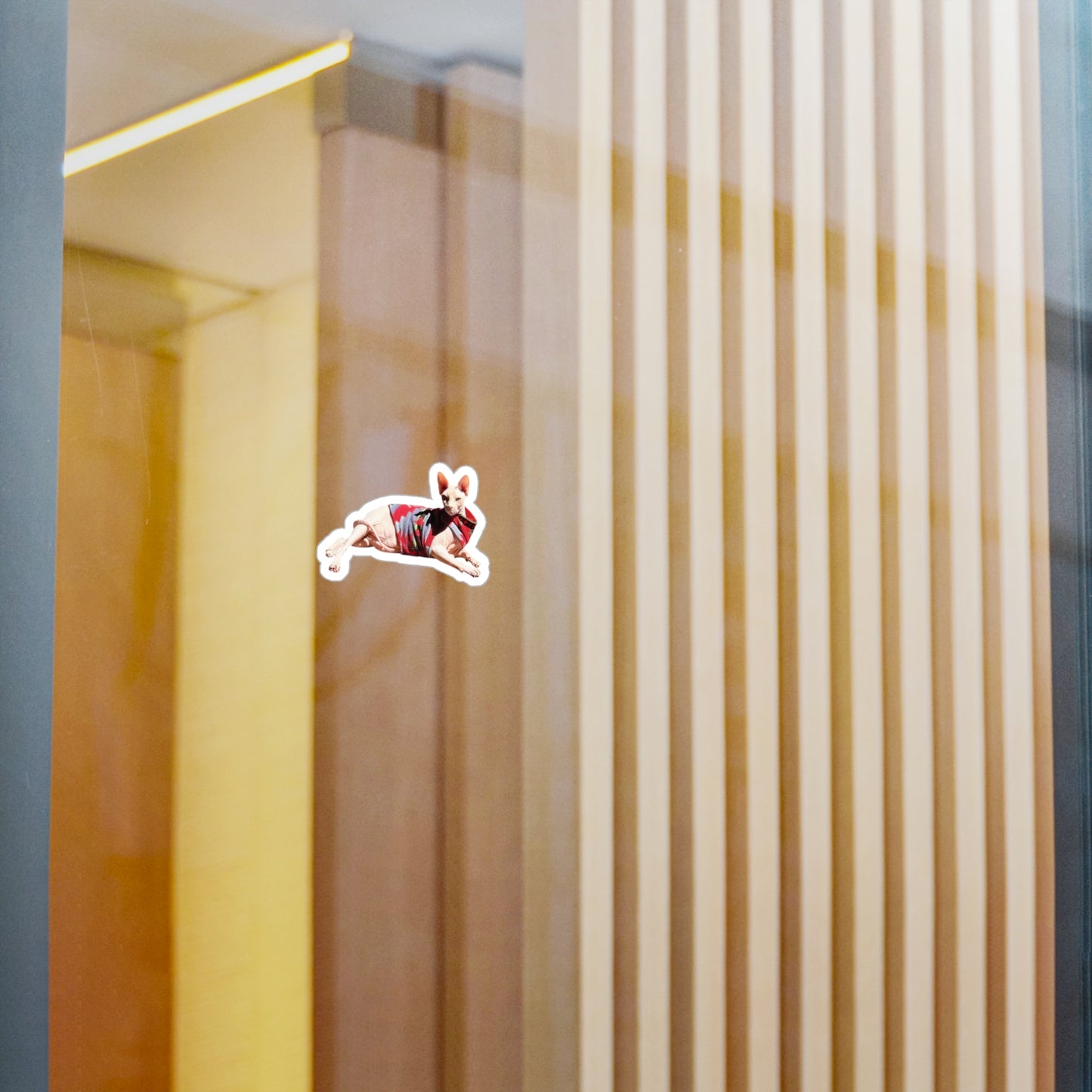 Shiro stares into your soul