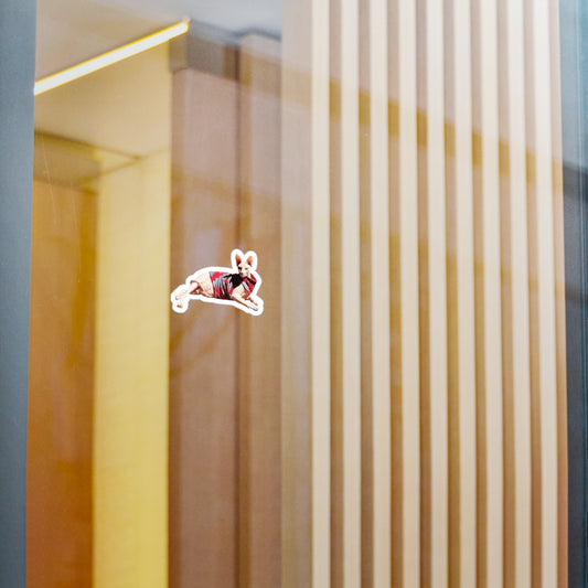 Shiro stares into your soul