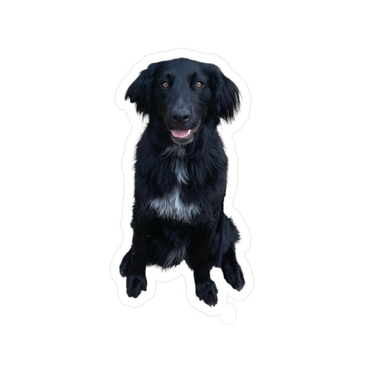 June is the goodest girl!